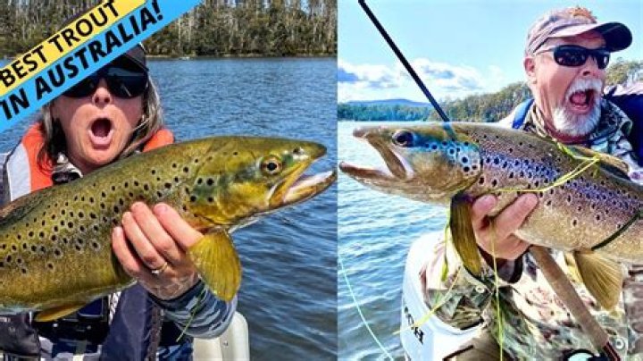 Australian Fish Video Lady Trout