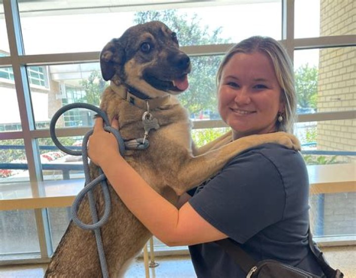 Discover Central Missouri Humane Society's Heartfelt Mission
