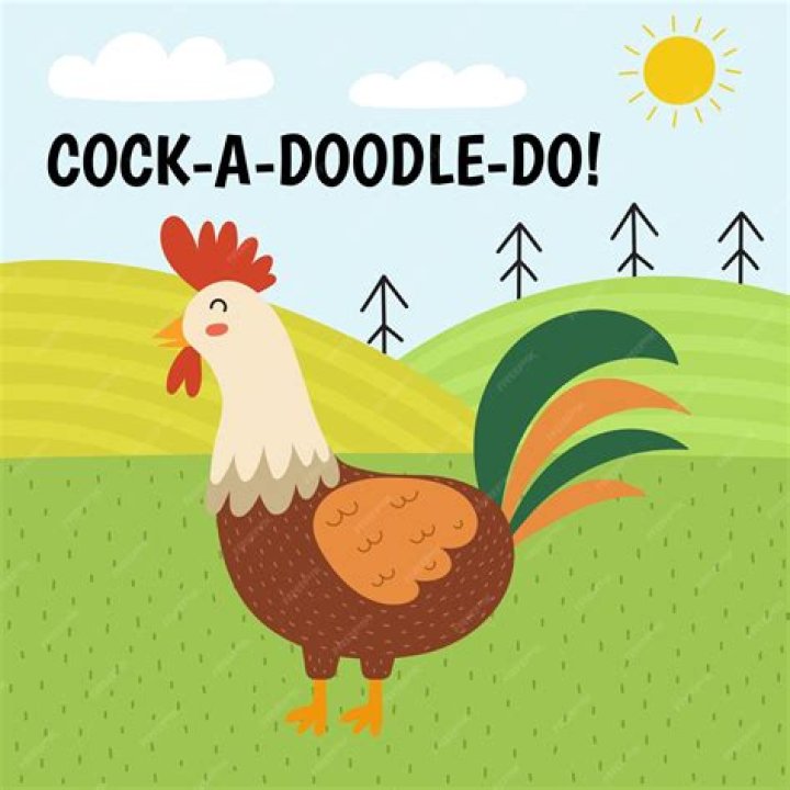 Discover The Delightful World Of Cockadoodle Pizza Bethel VT: A Culinary Gem Unveiled