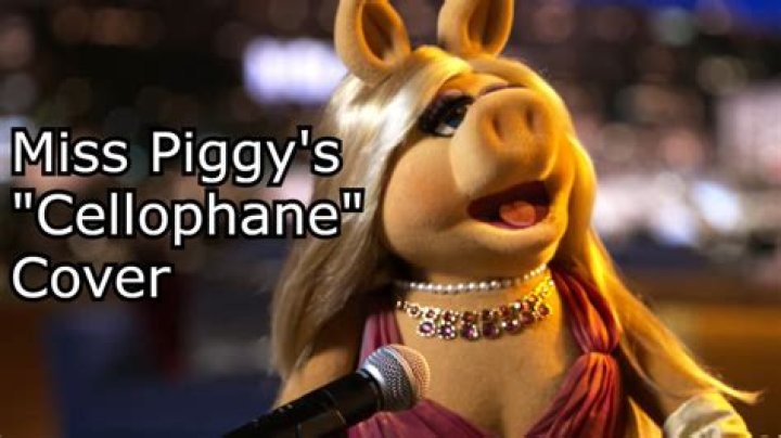 Let Me Do It For You Miss Piggy