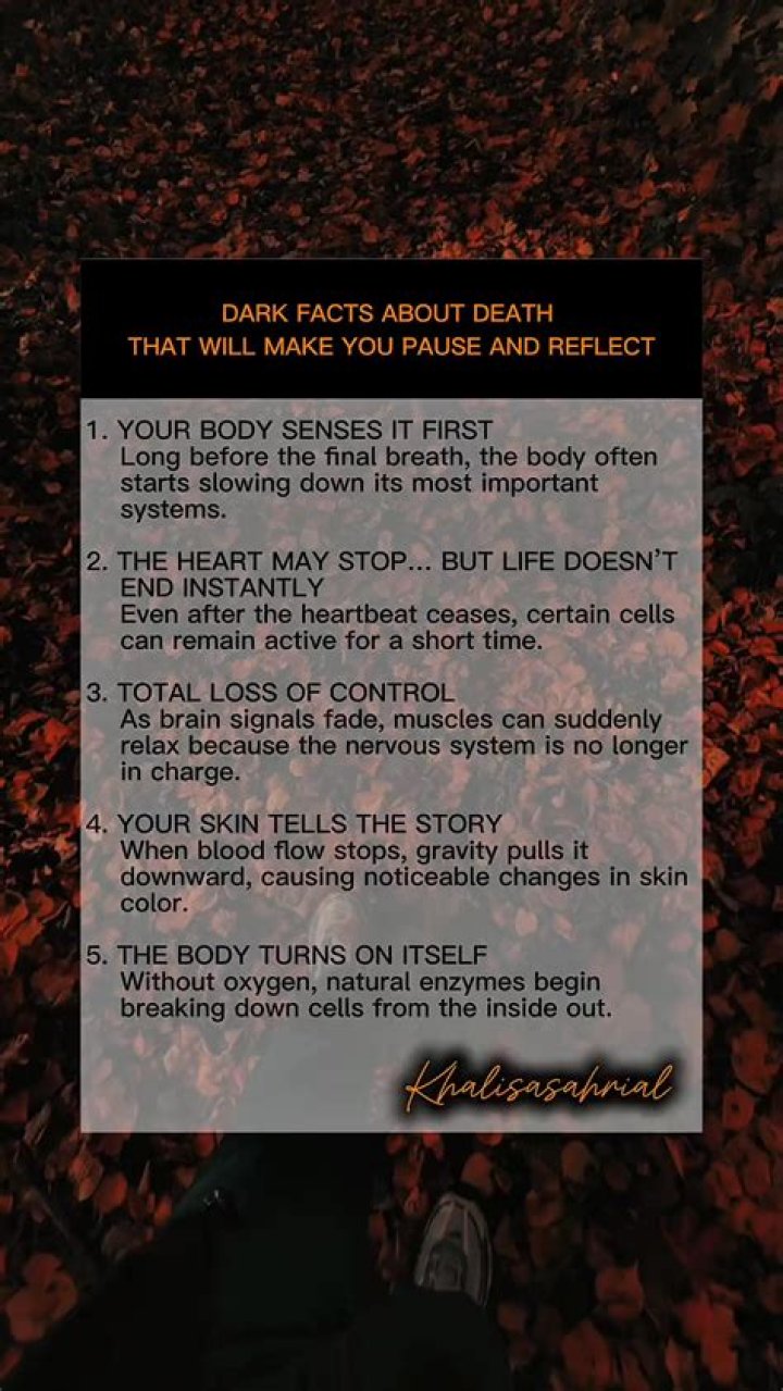 Life, Death, Fast Facts |