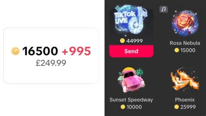 Most Expensive Gift On Tiktok
