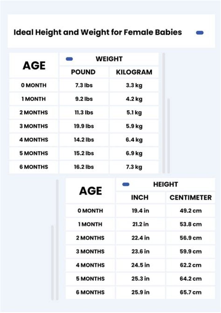 Net Worth, Age, Weight, And Hidden Truths