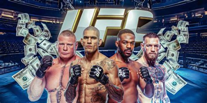 Net Worth, UFC Payouts, And Endorsement Empire