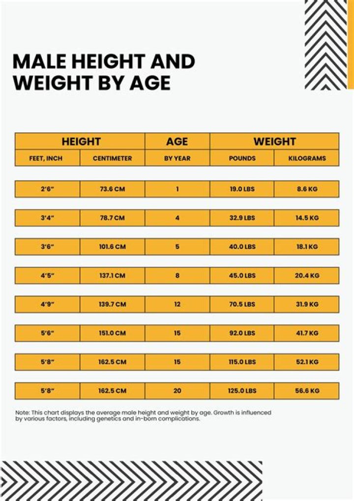 Steve Howey's Height And Weight Explained