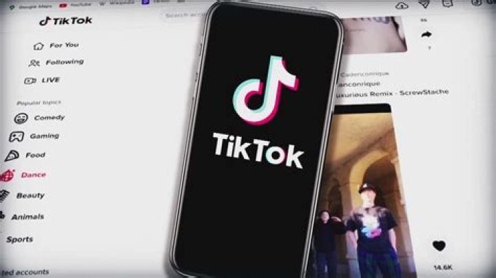 TikTok Terms Of Service And Joe Rogan