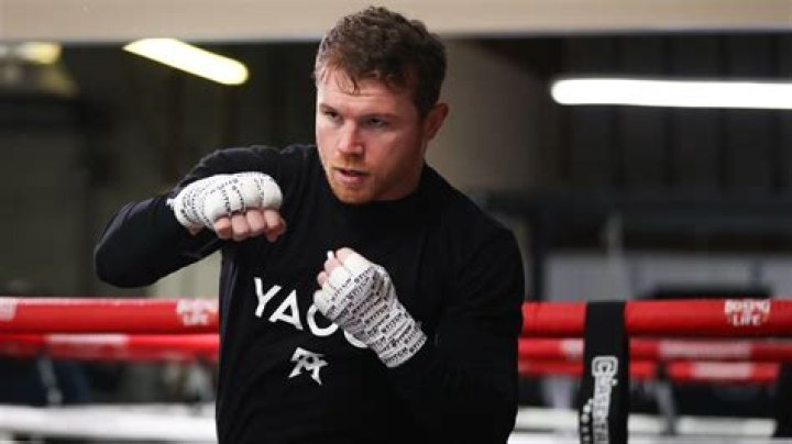Uncover The Secrets Of John Ryder's Boxing Prowess