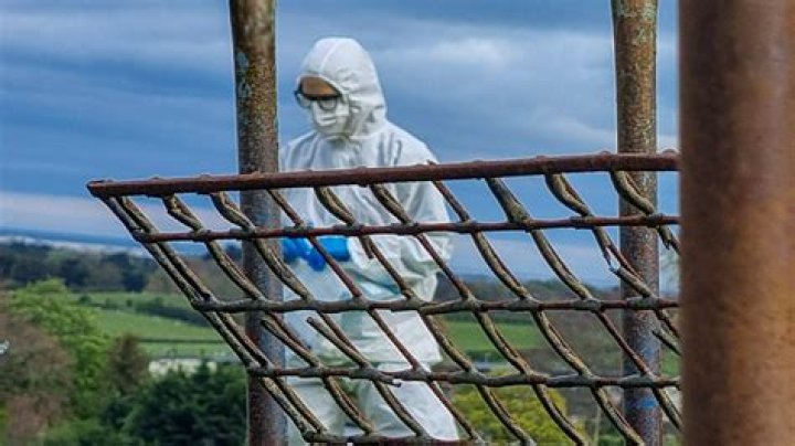Unearthing The Truth And Its Impact
