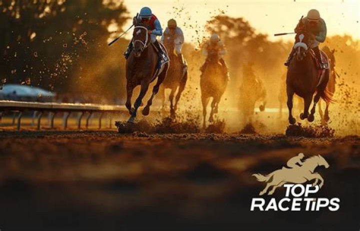 Unlocking Success In The World Of Horse Racing