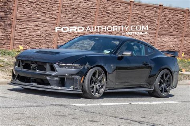 Unveil The Secrets Of Mustang Harry's New York
