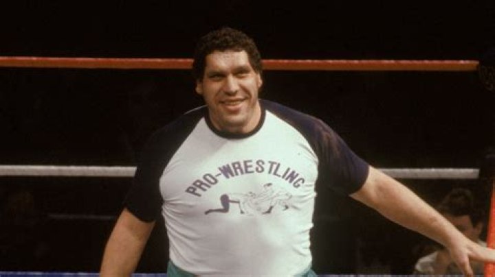 Unveiling The Unsung Heroes Behind Andre The Giant