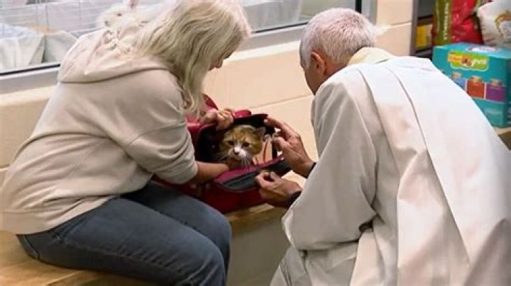 Unveiling The Westbrook Animal Refuge League