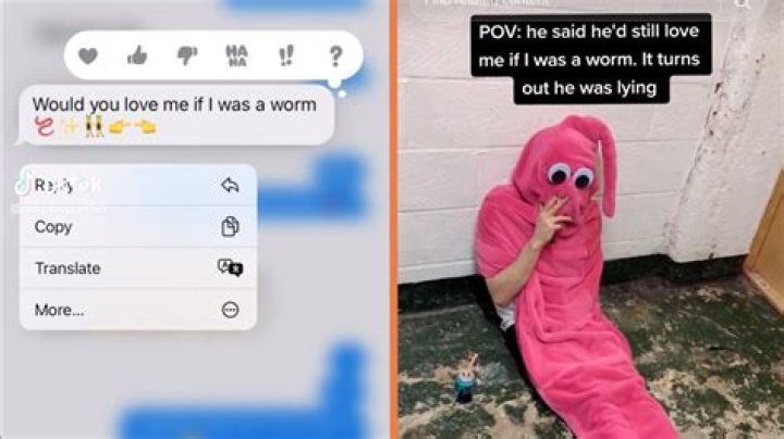 Would You Love Me If I Was A Worm Tiktok